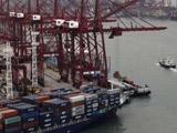 本港海运港口5月柜量微升0.4%