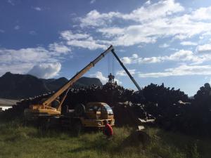 锦程在线服务完成中缅边境原木材运输项目