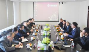 中新（重庆）战略性互联互通示范项目公司领导来访