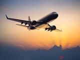 2019年越南各家航空公司旅客运输量近5500万人次