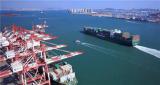 青岛港：发起高质量发展的“海洋攻势”